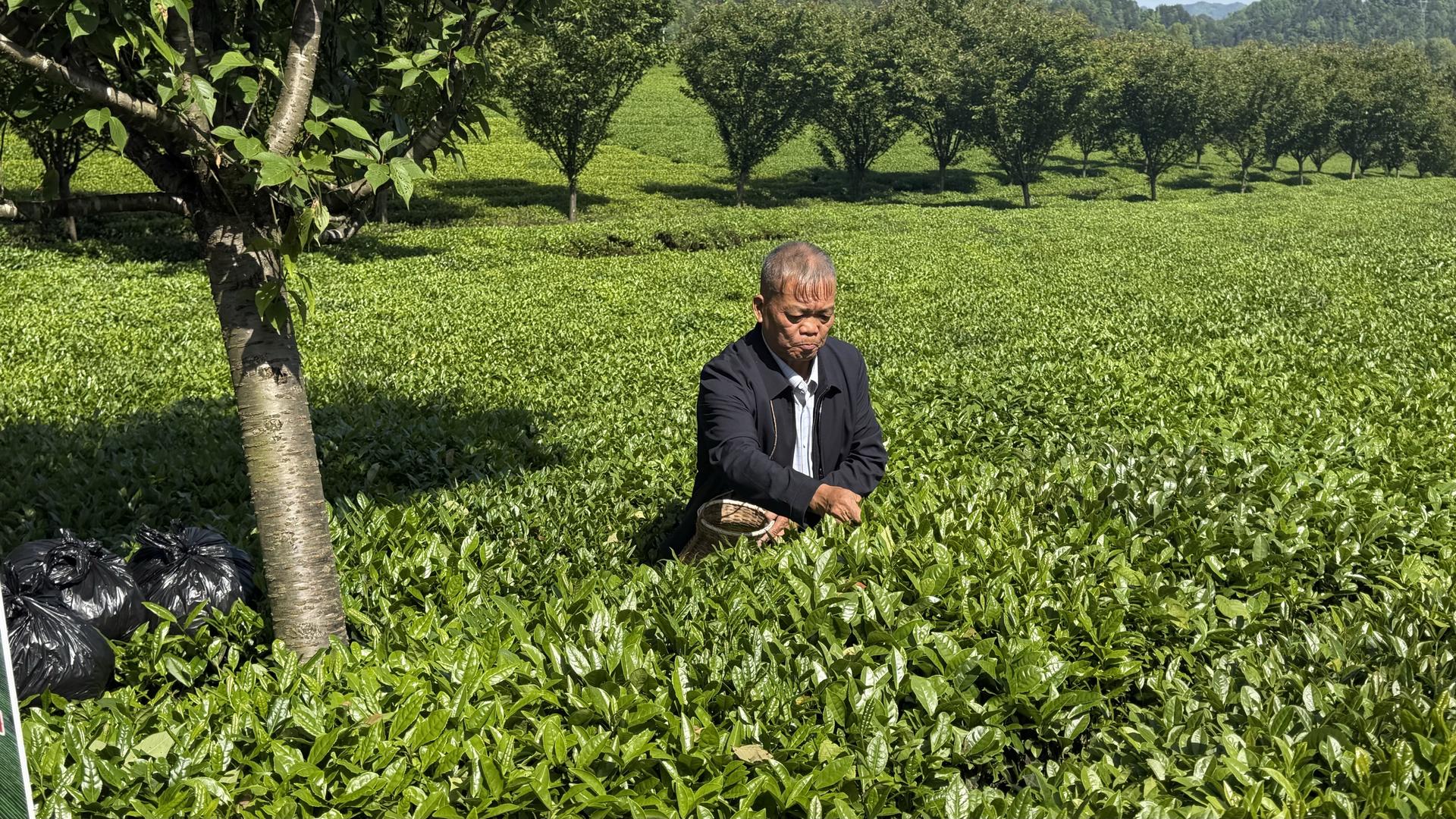 e0a68960fa45b05e351da9f06d1f06dd