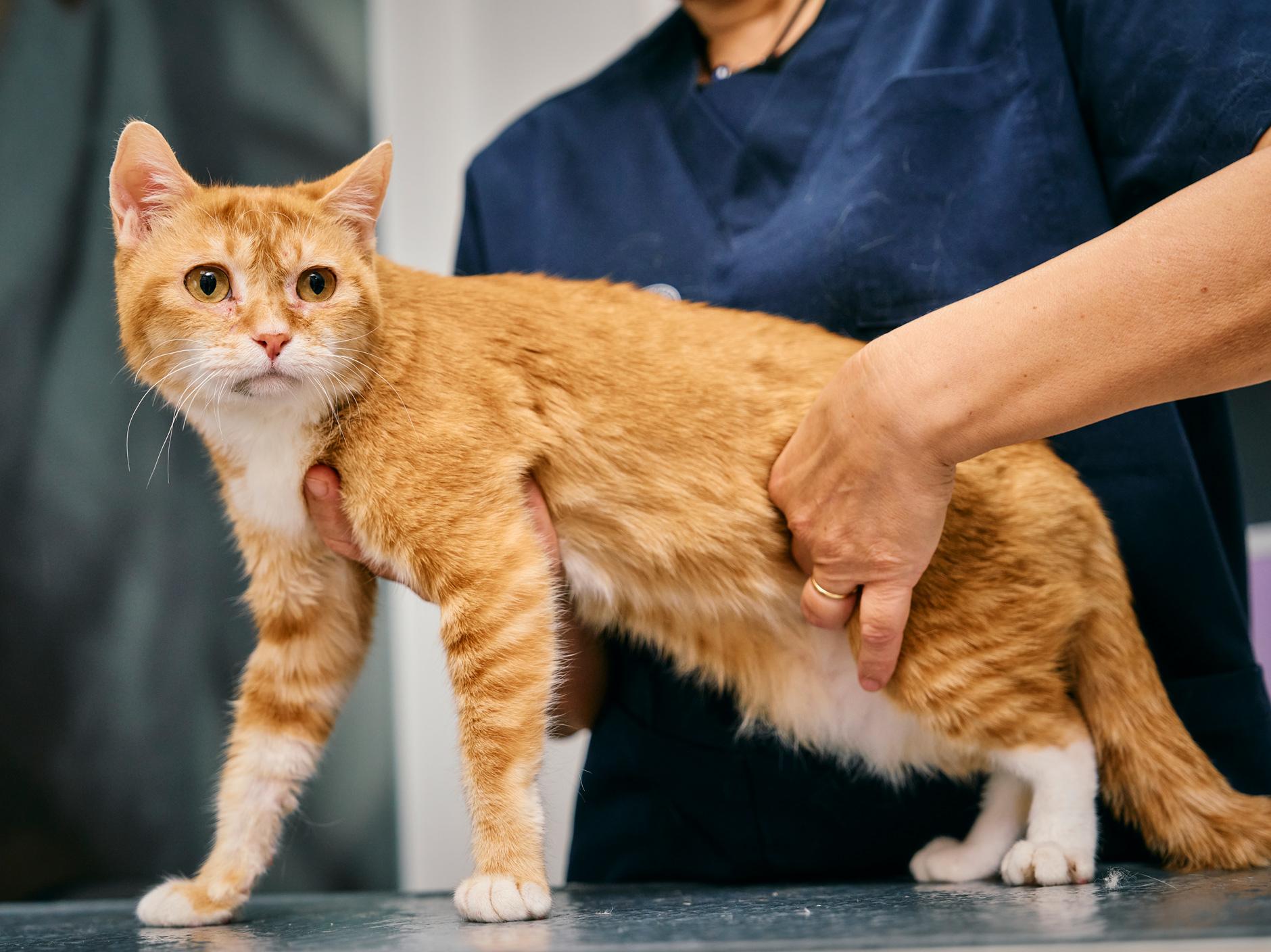 260330-1_city_profjulia_0094