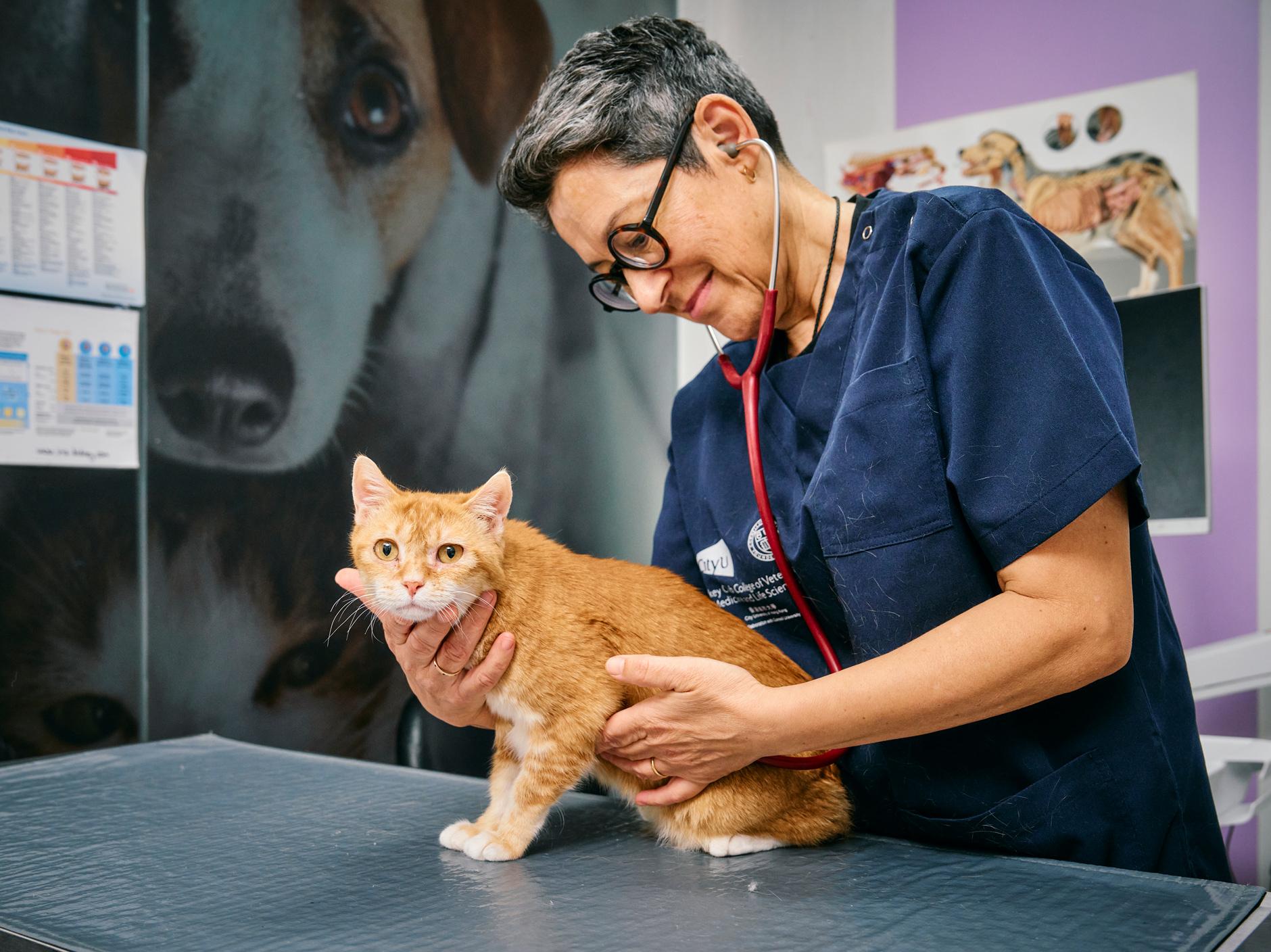 260330-2_city_profjulia_0133