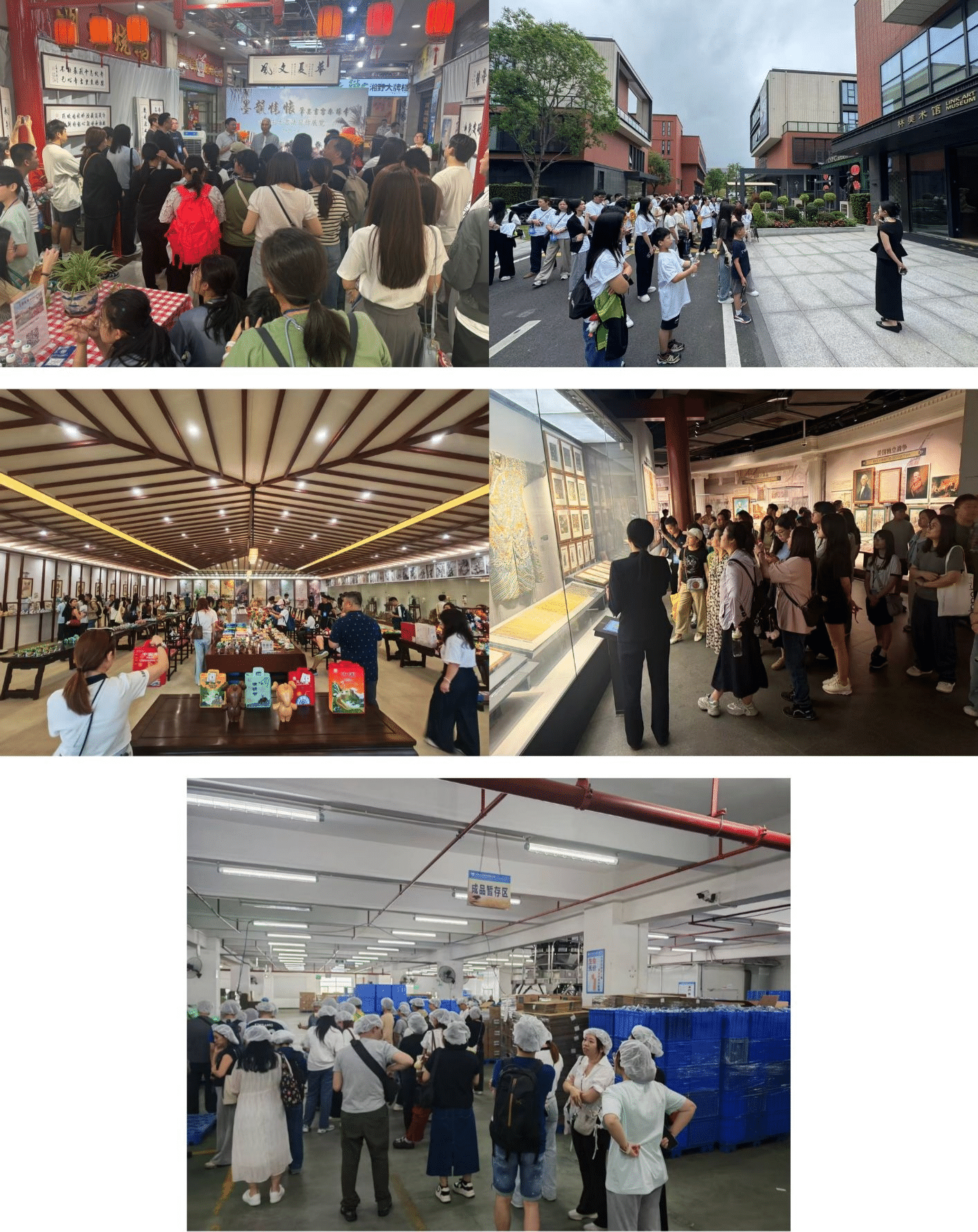 图片12