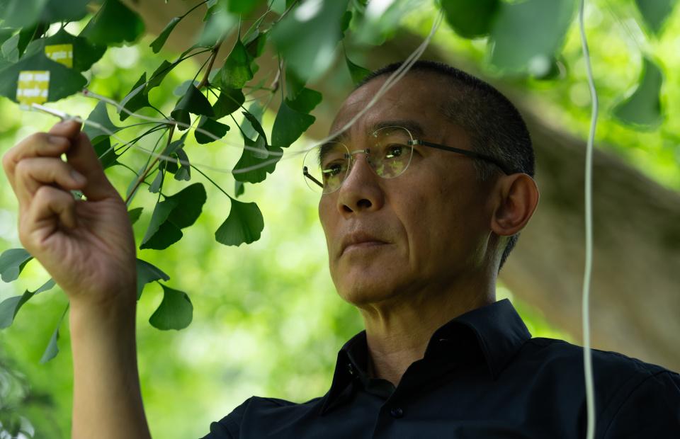 新片---梁朝偉主演-寂靜的朋友-上映-百年銀杏見證三個時代的孤獨與覺醒