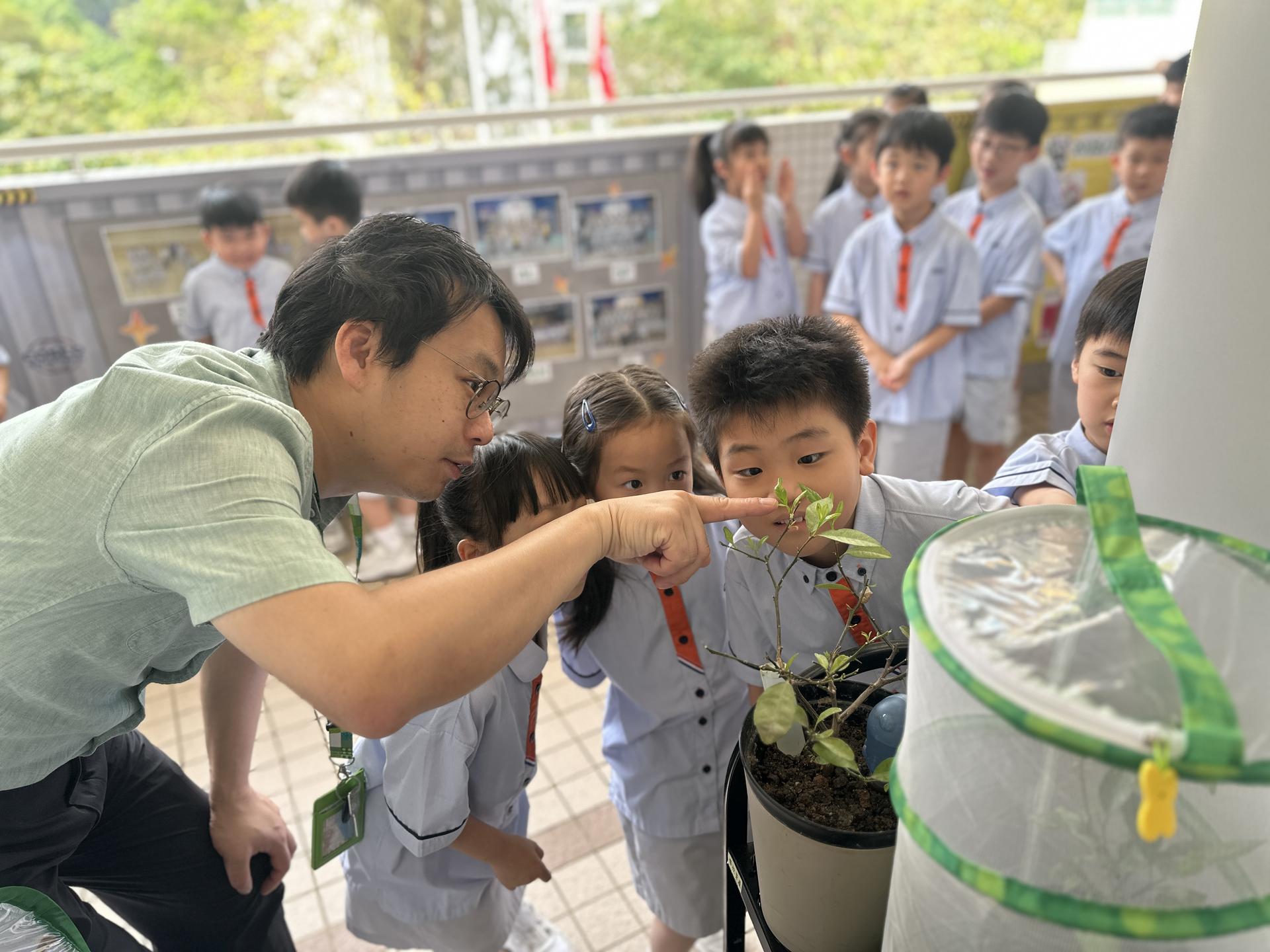 3. 学生们看着脆弱的幼虫努力进食、成长，从中学会尊重生命