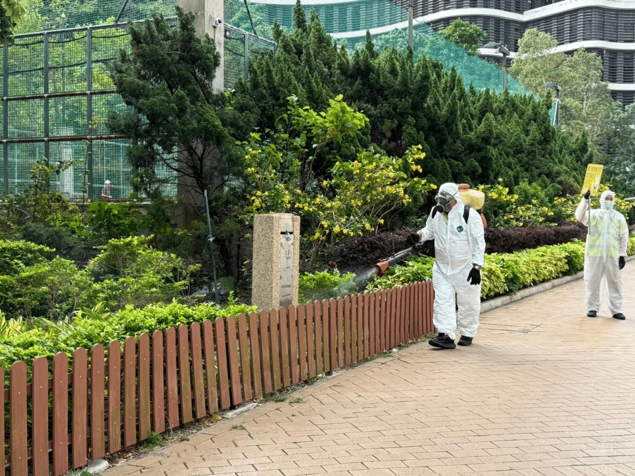260505010