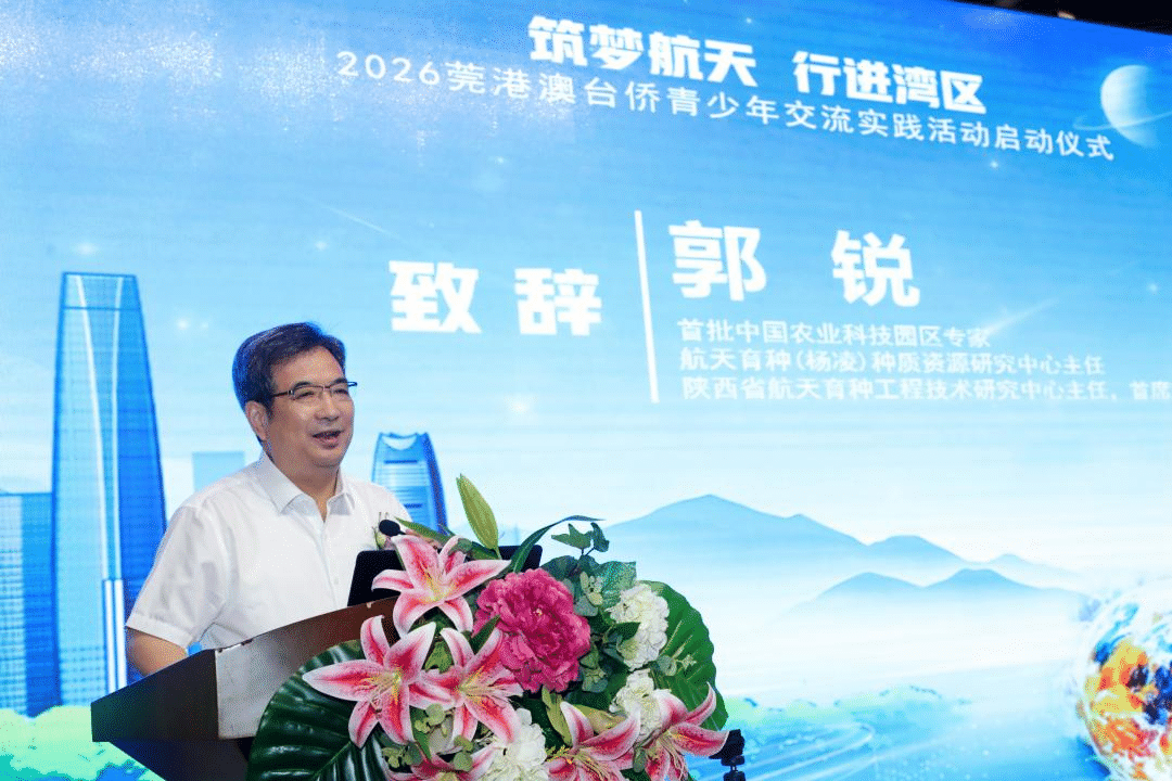 图片7