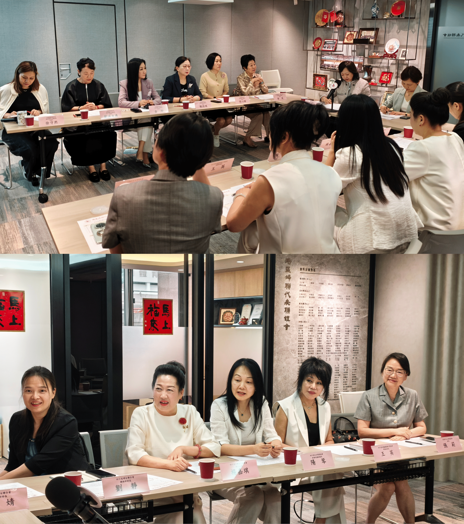 04 港区妇联与四川省妇联与会姊妹座谈交流(2)