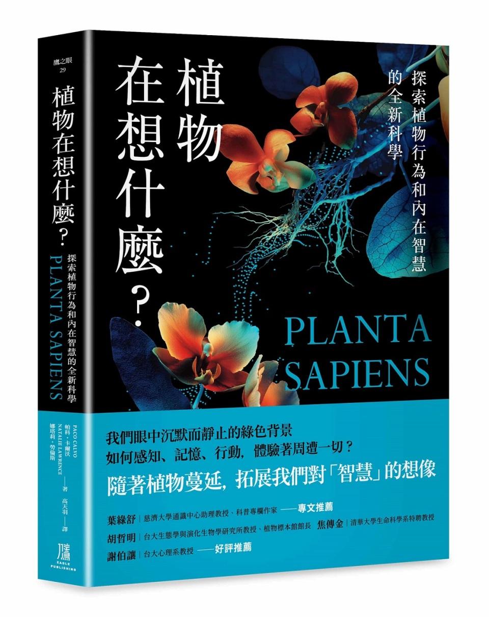 教育惊奇-植物现象学-梁朝伟为何能与大树交感--上