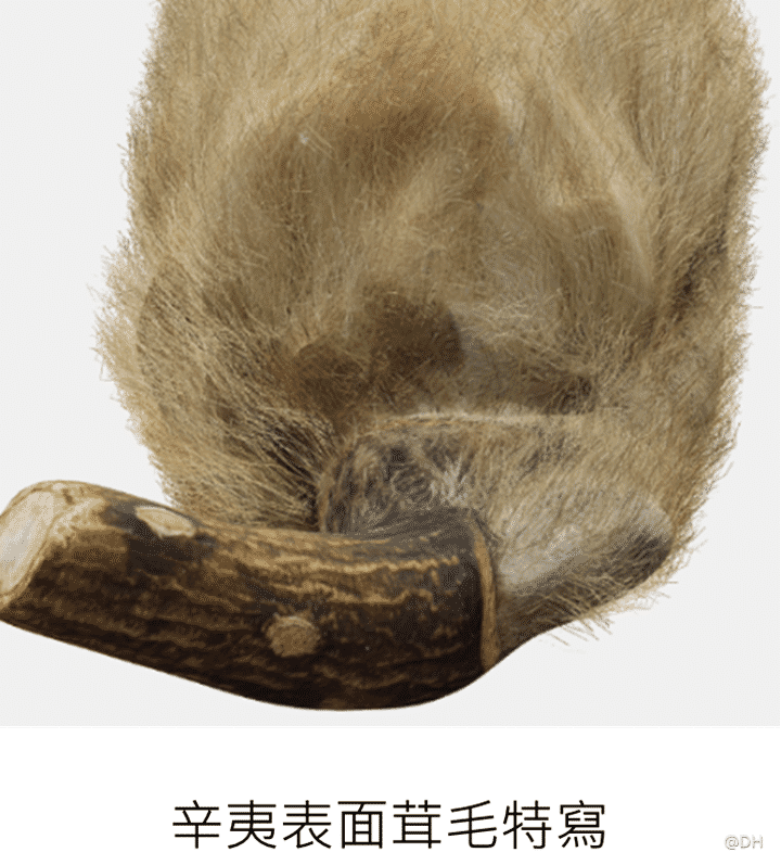 Slide5