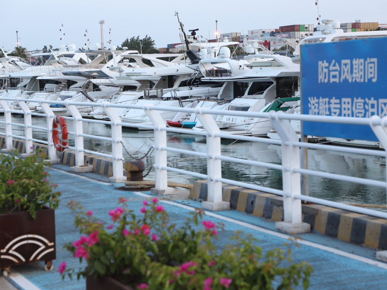 游艇停靠在福建厦门高崎闽台中心渔港躲避台风。(新华社)