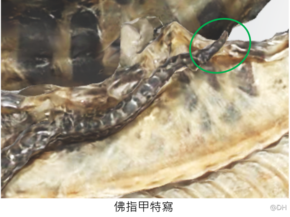 Slide4