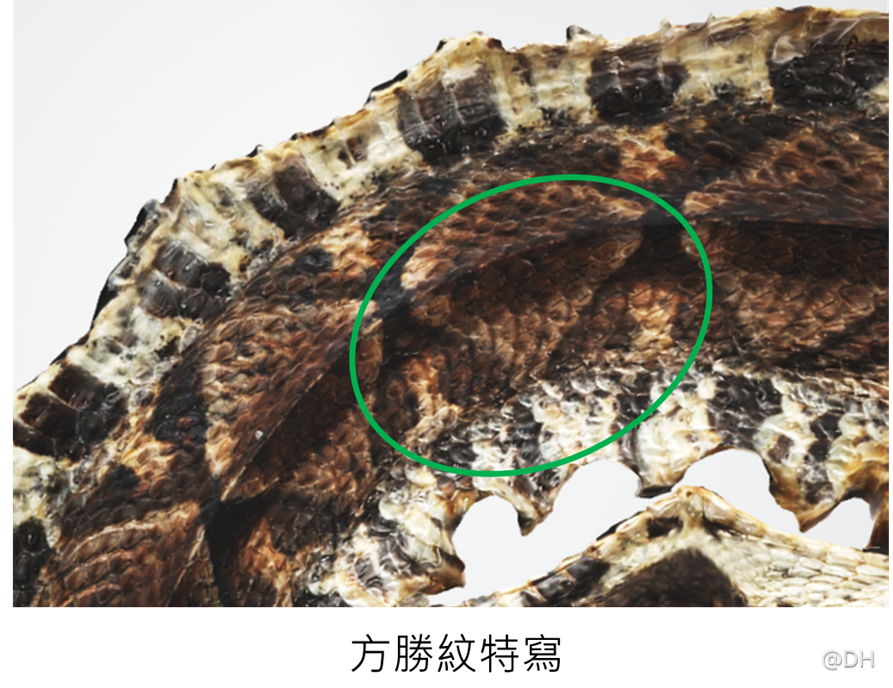 Slide2