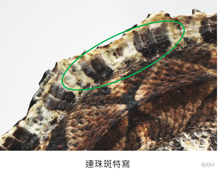 Slide3