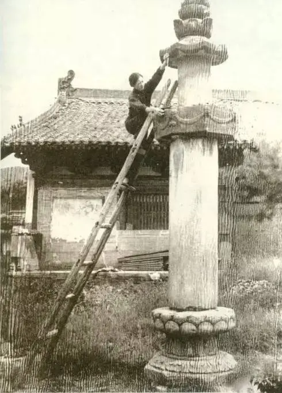 文化漫谈-我们为何会如此深地误读林徽因