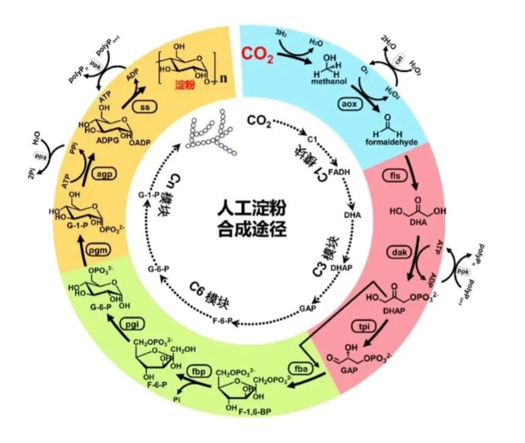 截屏2022-02-28 上午10.36.23