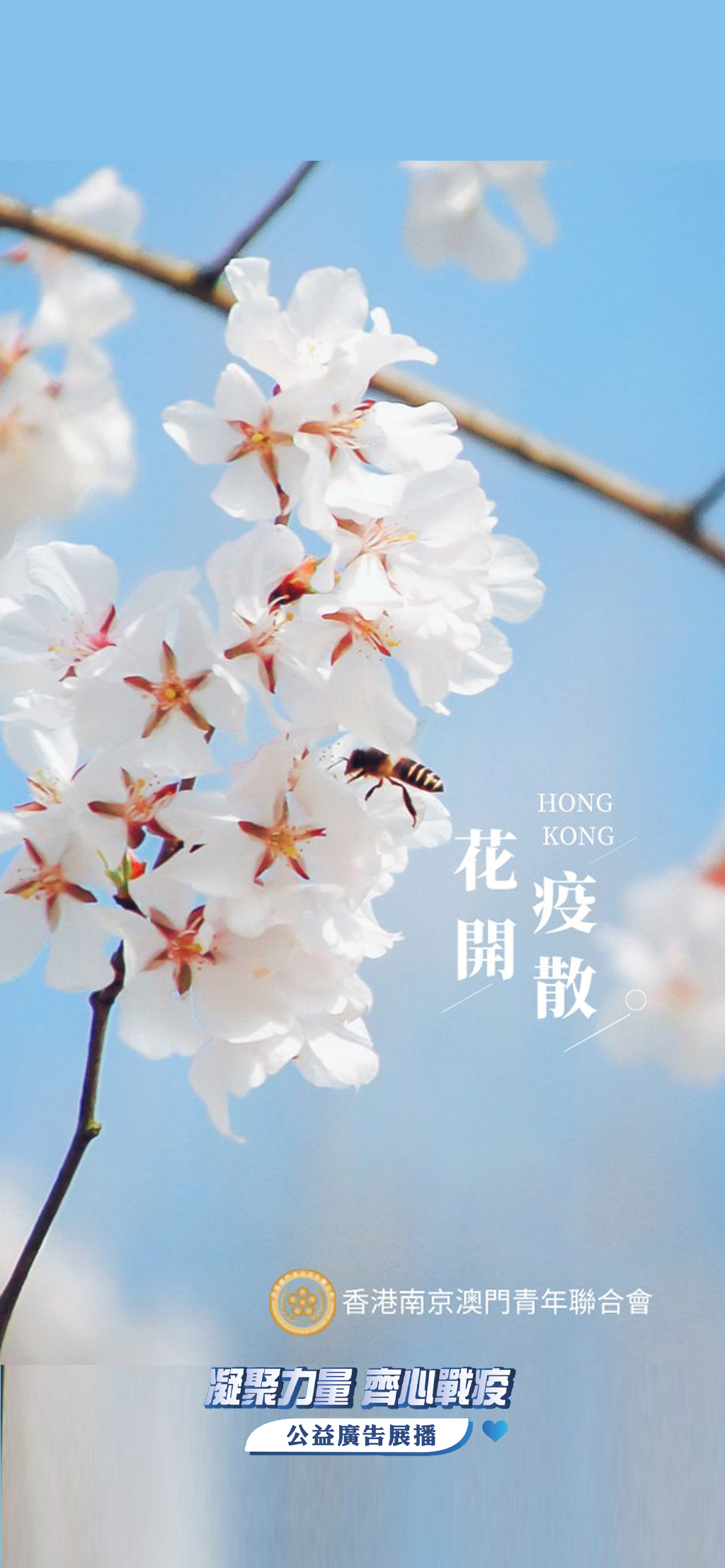 南京澳门青年改