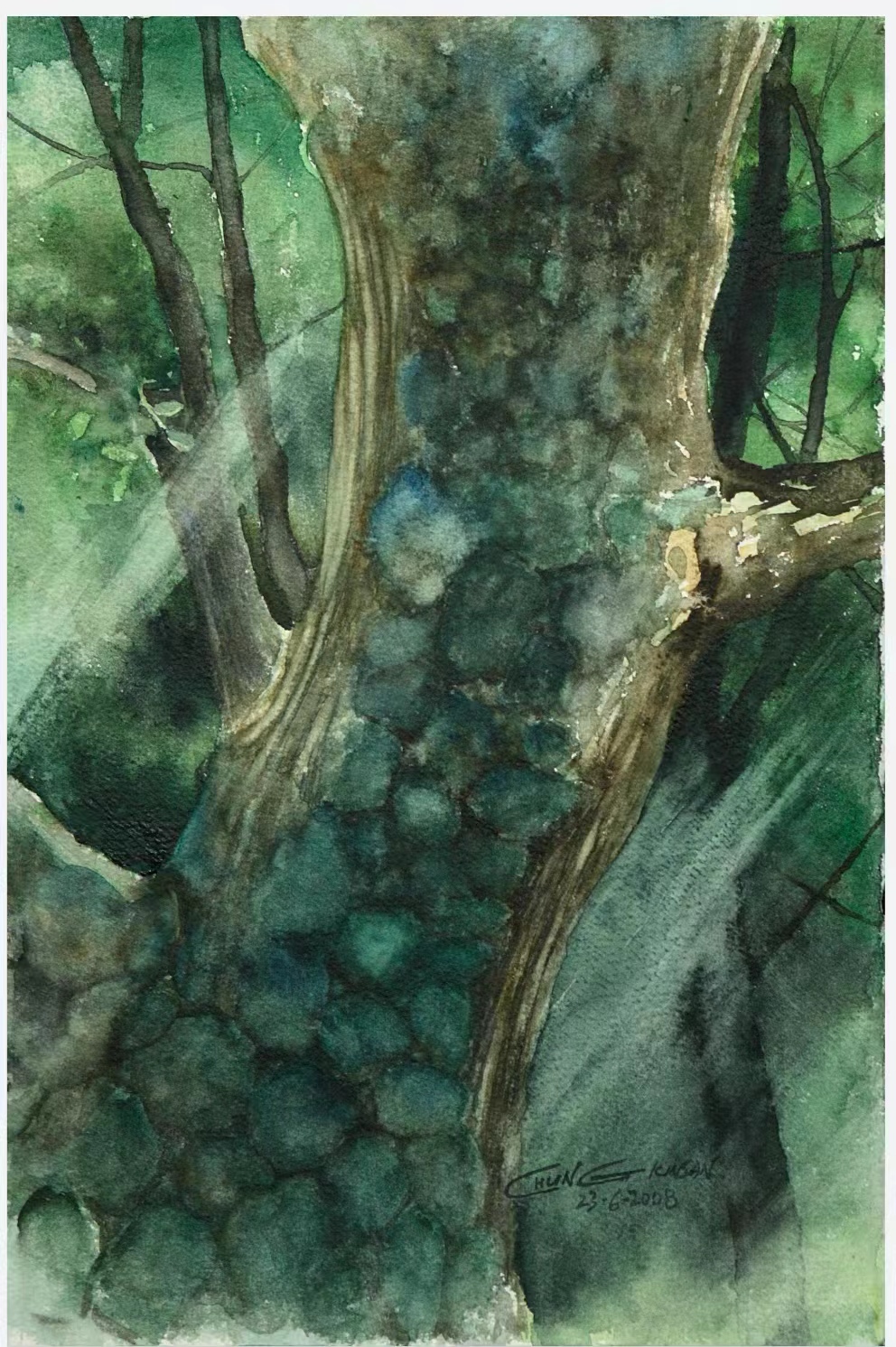 微信图片_20231113224225