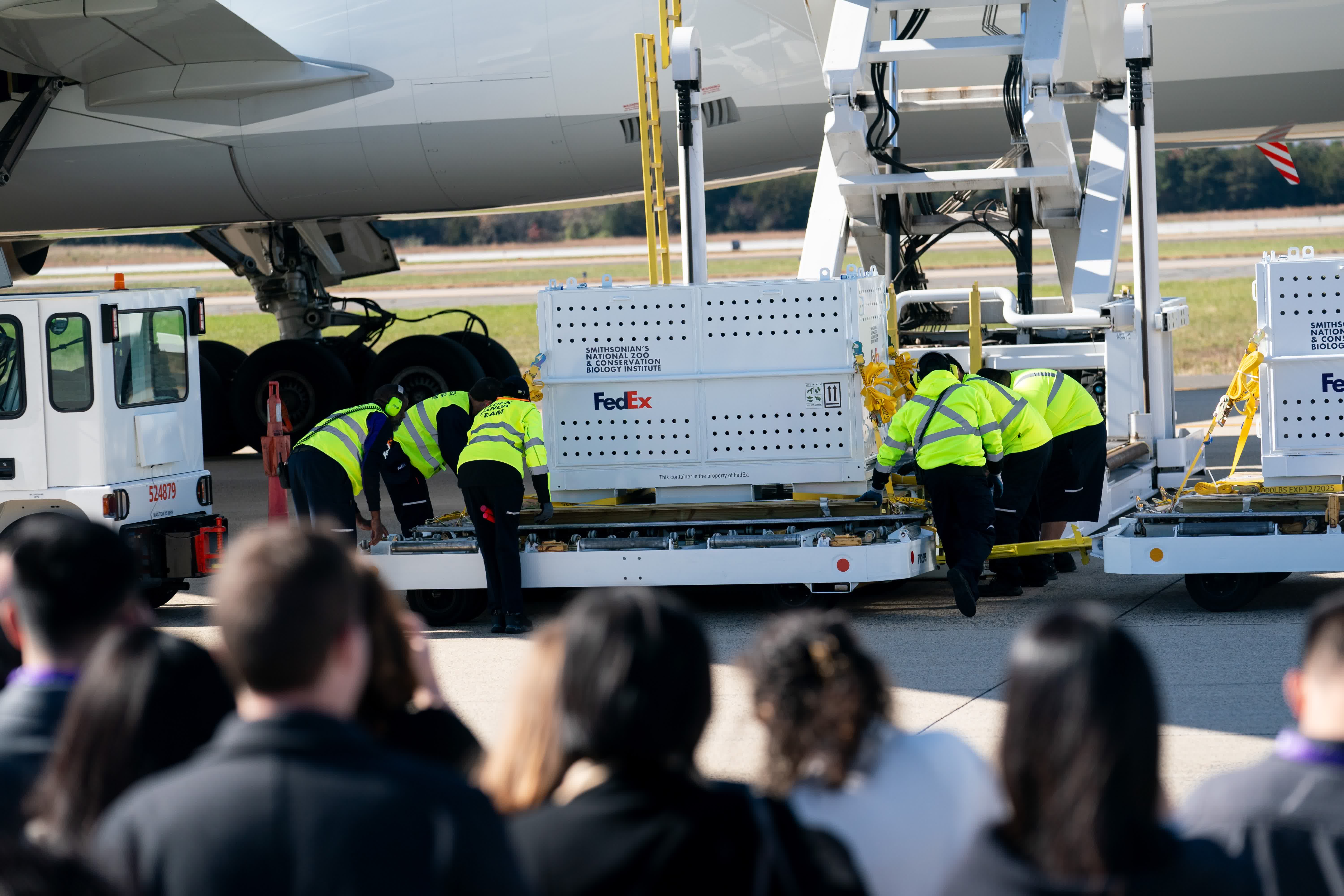 654c33c3e4b0a70fad55df371