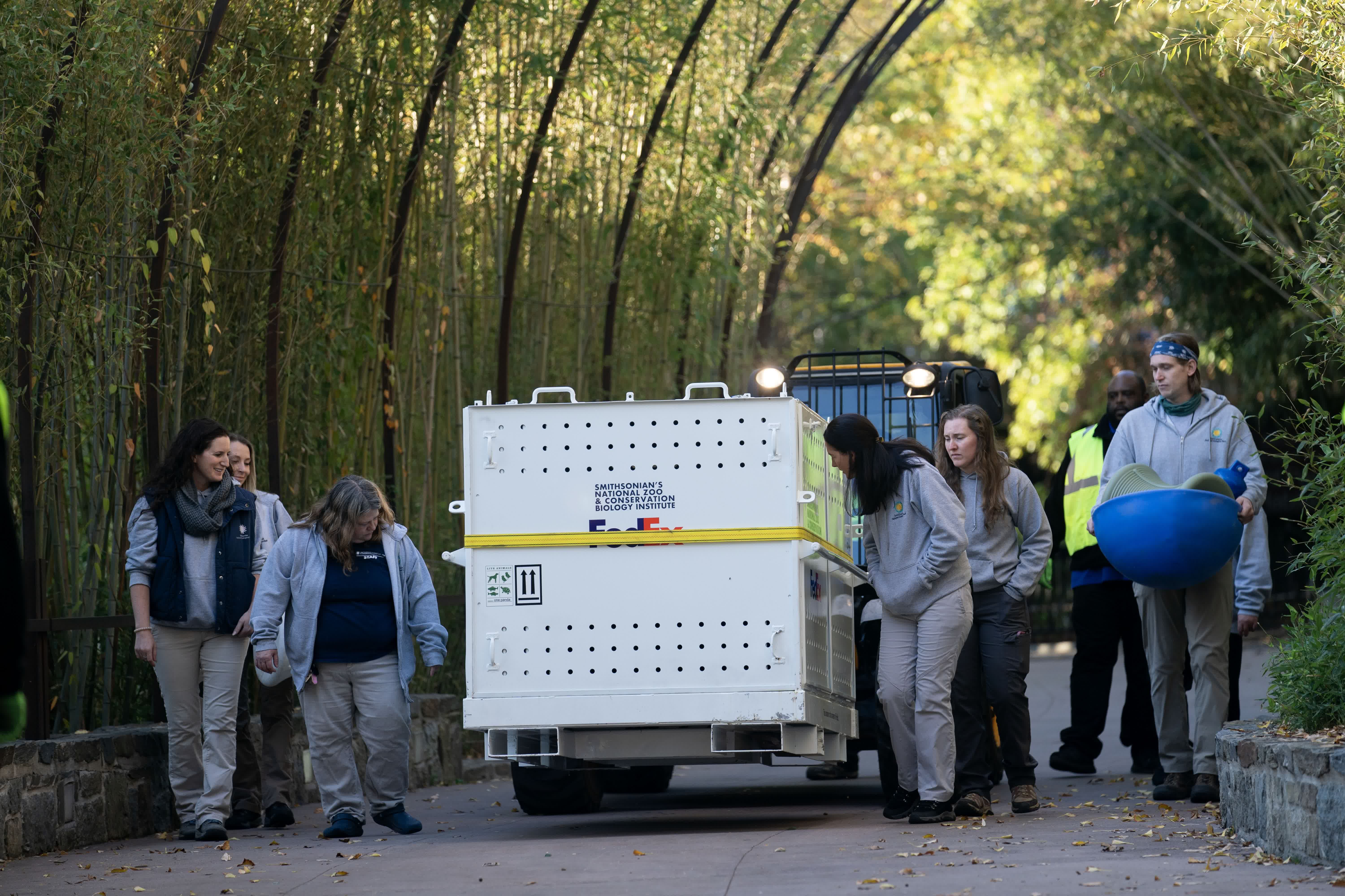 654c33b5e4b0a70fad55df111