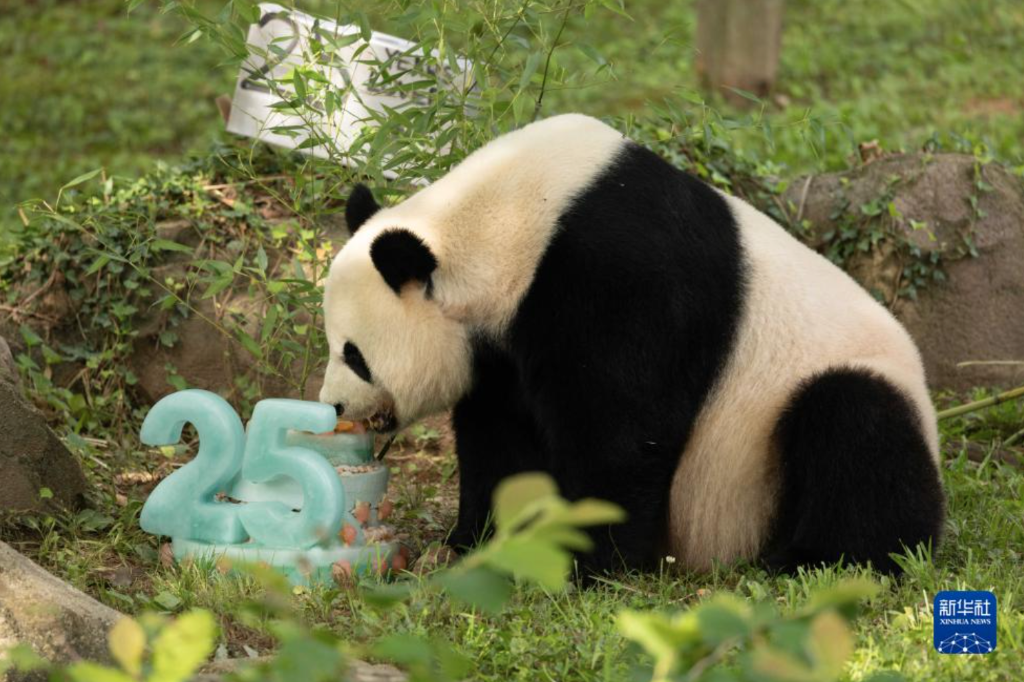 截屏2023-07-23 下午4.41.03