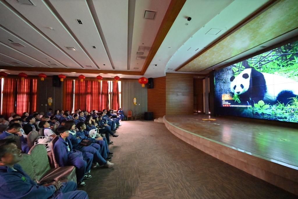 前往卧龙熊猫基地 (1)