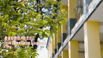 20241009f7a7b0cd5e454148ad77ea2a09f78838_105012024100800007084