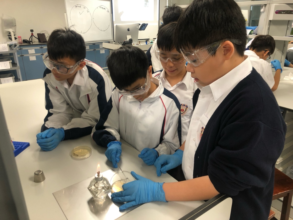 陳博士發現,中學生比大學生更積極發問及參與生物實驗,但若理論太深難免令學生感到枯燥。幾經摸索,帶領科研校隊由食物等生活物品入手,帶領學生做簡單的基因分析,以過期牛奶種菌、塑膠講解等,吸引不少學生投入課堂 圖4