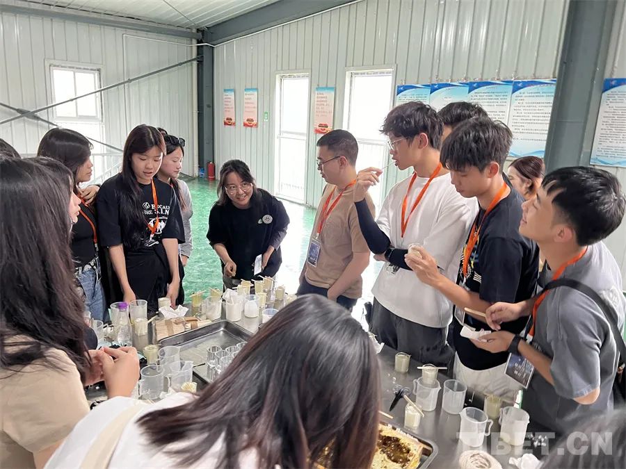 香港青少年品嘗新鮮蜂蜜,以及用蜂蠟製作蠟燭 4