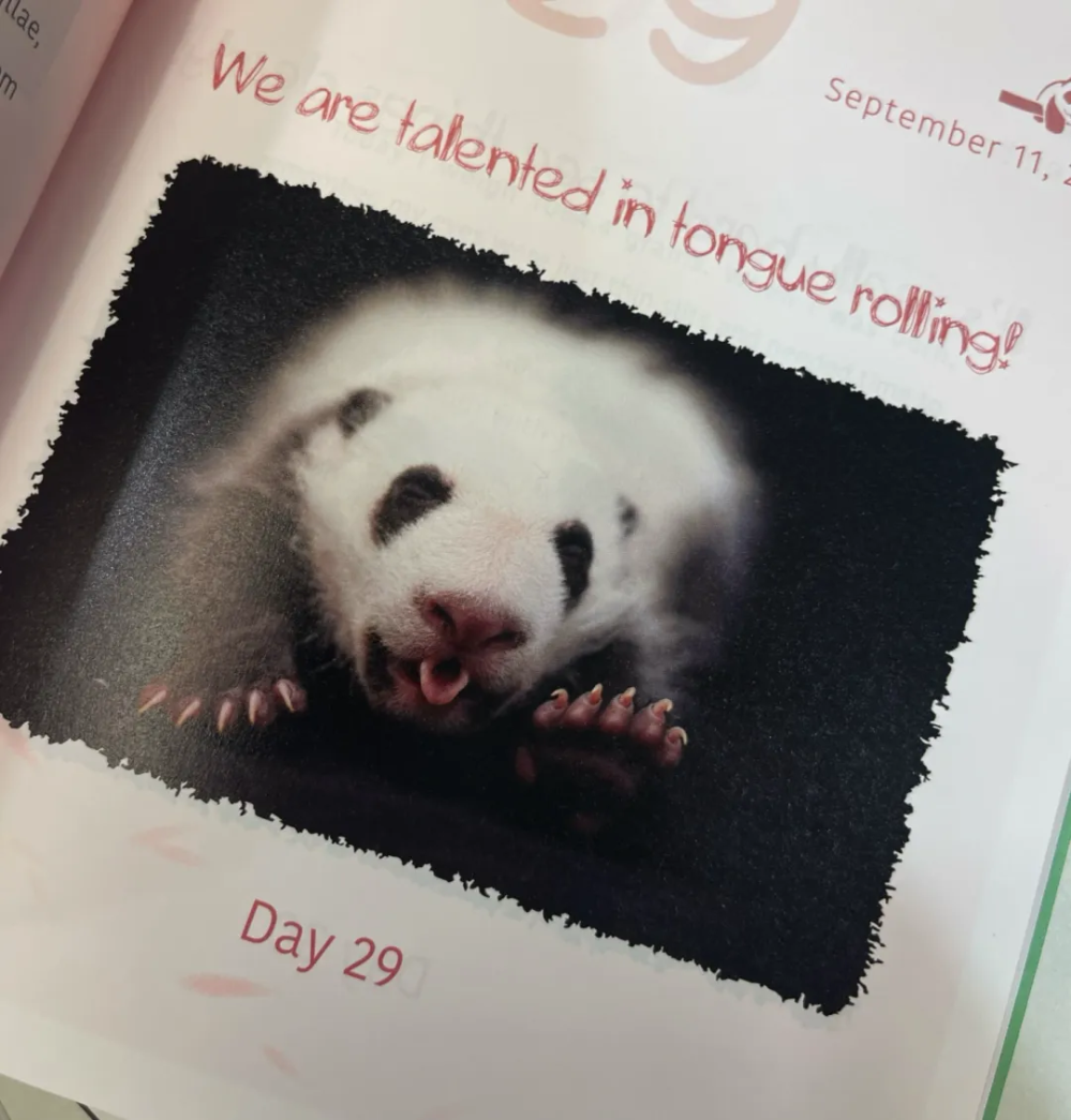 640 - - 2024-08-16 17-51-51