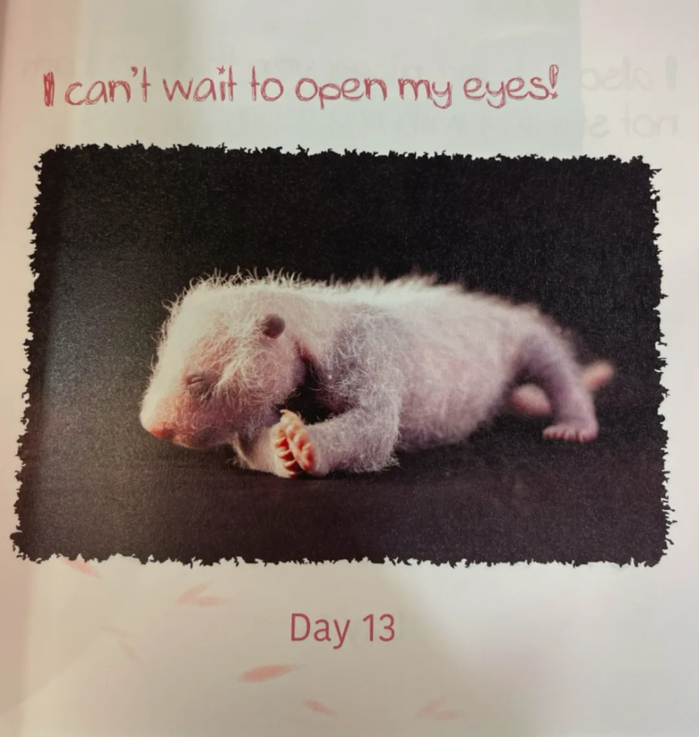 640 - - 2024-08-16 17-51-48