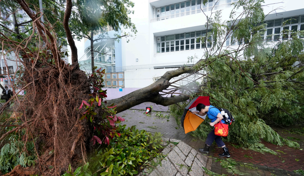 萤幕截图 2024-08-02 下午2.14.55