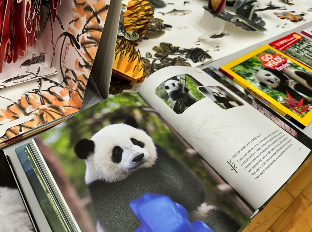 640 - - 2024-09-30 19-57-56